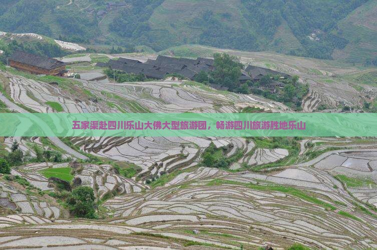五家渠去四川乐山大佛大型旅游团