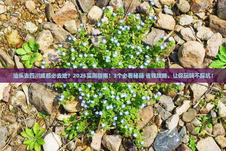 汕头去四川成都必去地