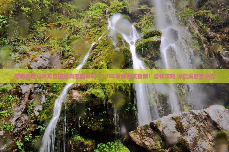陇南去四川黄龙自由团