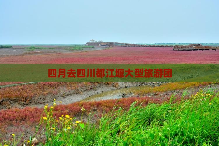 四月去四川都江堰大型旅游团