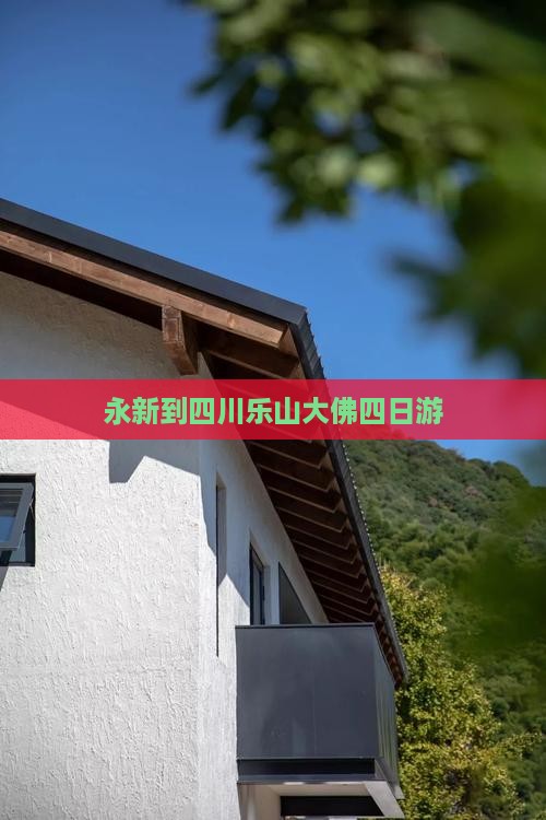 永新到四川乐山大佛四日游