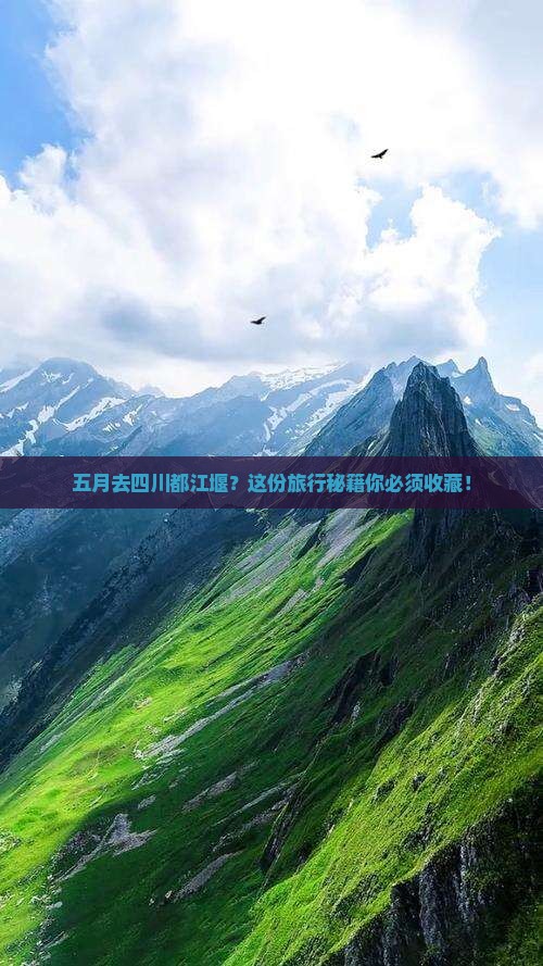 五月去四川都江堰旅行社
