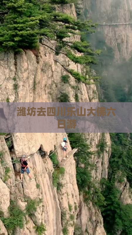 潍坊去四川乐山大佛六日游
