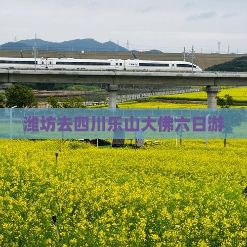 潍坊去四川乐山大佛六日游