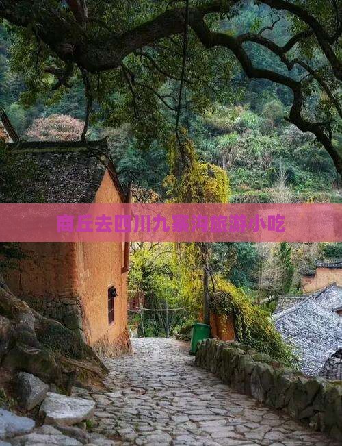 商丘去四川九寨沟旅游小吃