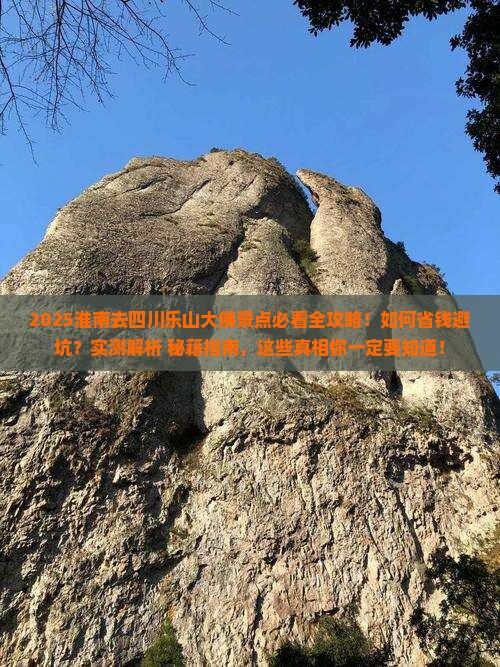 淮南去四川乐山大佛景点