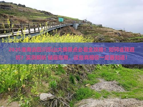 淮南去四川乐山大佛景点