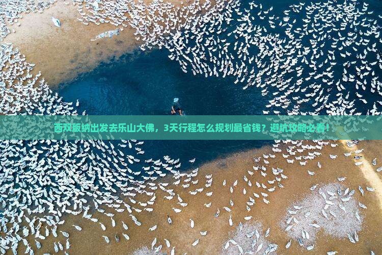 西双版纳去四川乐山大佛旅游