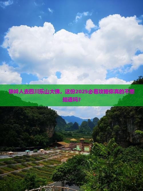 铁岭去四川乐山大佛大型旅游团