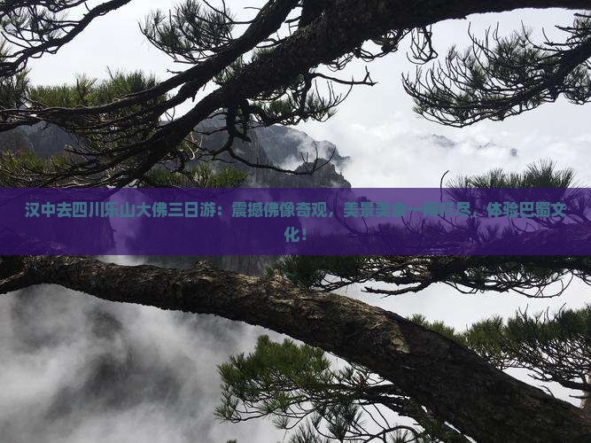 汉中去四川乐山大佛三日游
