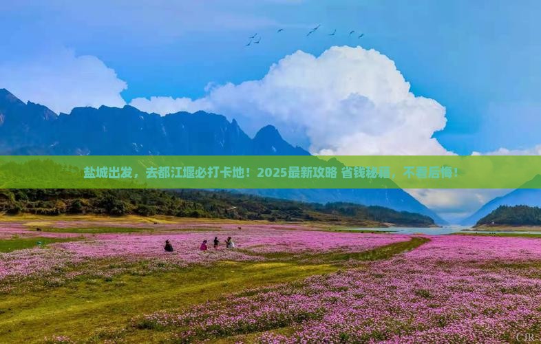 盐城去四川都江堰必去地 盐城去四川都江堰必去地