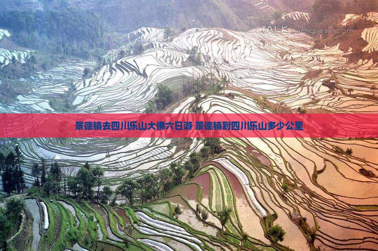 景德镇去四川乐山大佛六日游