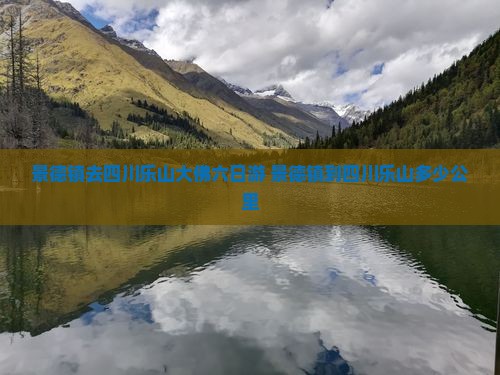 景德镇去四川乐山大佛六日游