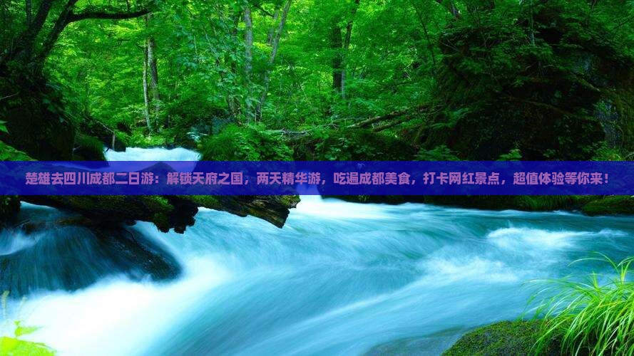楚雄去四川成都二日游