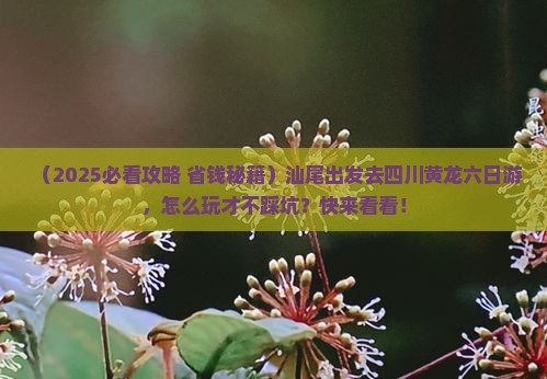 汕尾到四川黄龙六日游