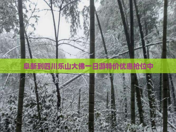 阜新到四川乐山大佛一日