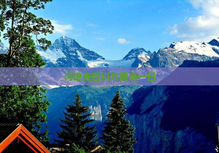 河池去四川九寨沟一日