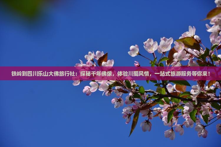 铁岭到四川乐山大佛旅行社