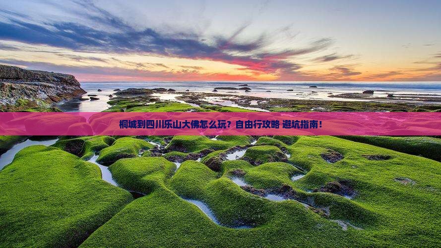 桐城到四川乐山大佛个人游