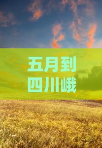 五月到四川峨眉山六日游