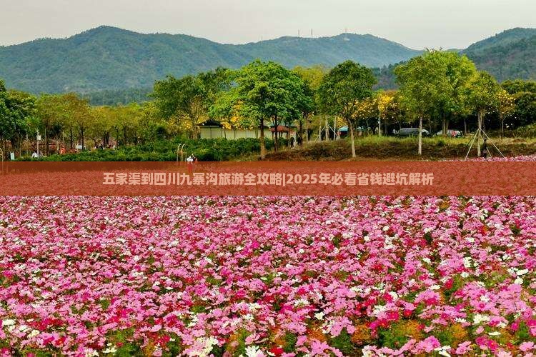 五家渠去四川九寨沟一日