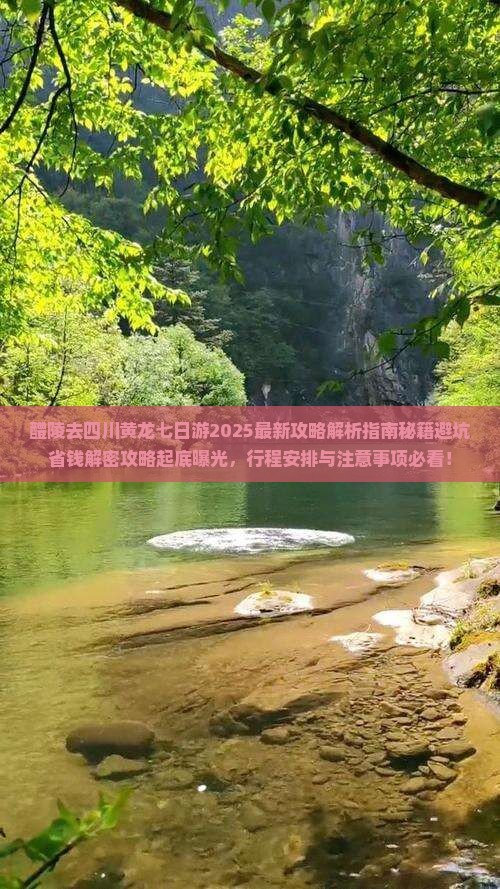 醴陵去四川黄龙七日游