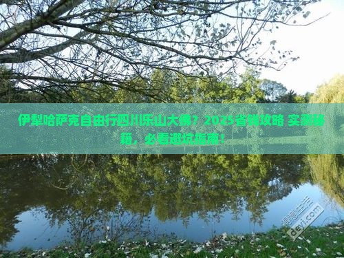 伊犁哈萨克去四川乐山大佛自由团