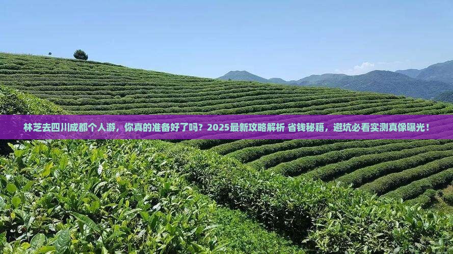 林芝去四川成都个人游 林芝去四川成都个人游