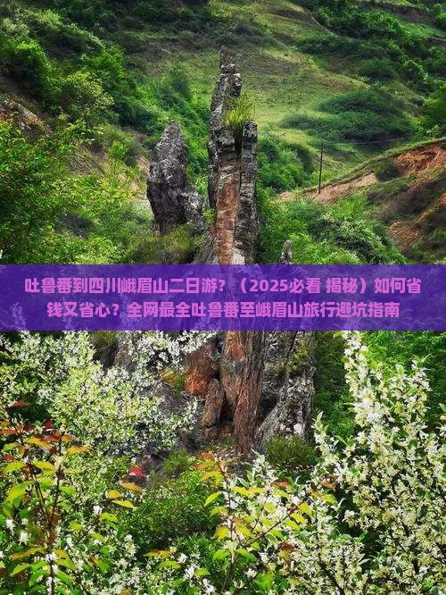 吐鲁番去四川峨眉山二日游