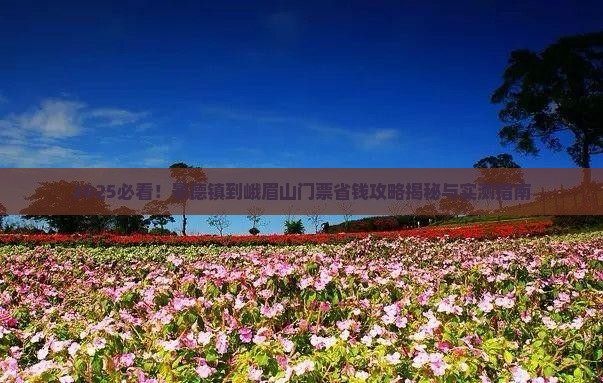 景德镇到四川峨眉山门票