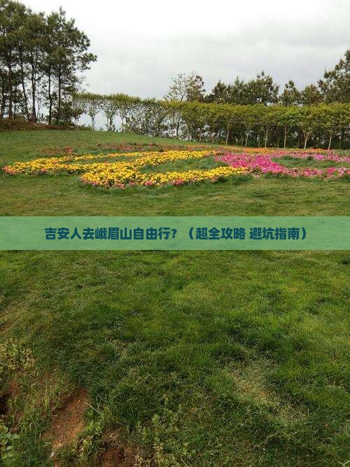 吉安去四川峨眉山自由团