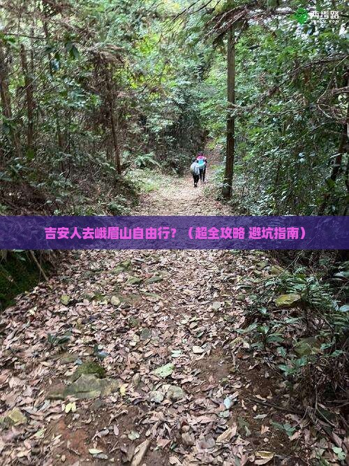 吉安去四川峨眉山自由团