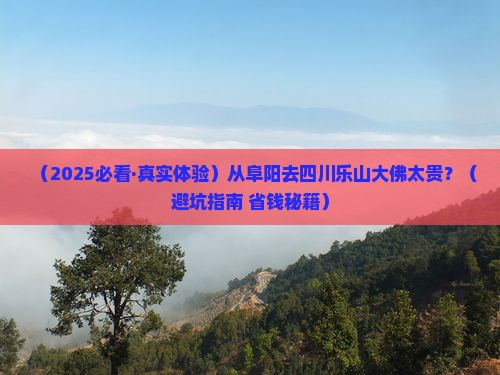 阜阳到四川乐山大佛旅行社