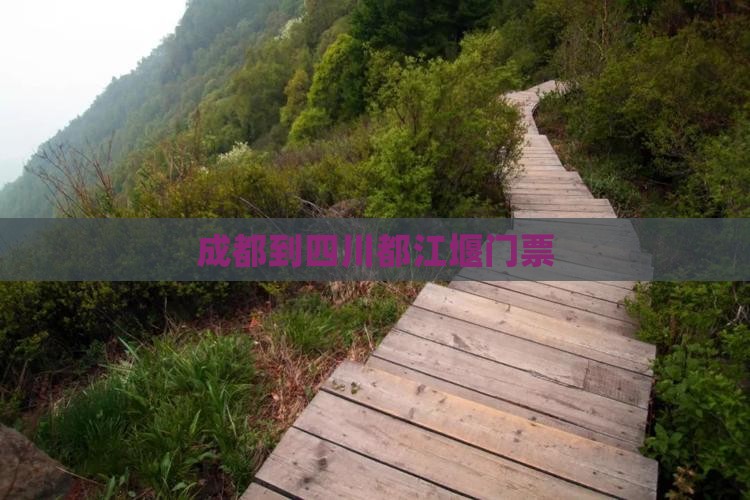成都到四川都江堰门票