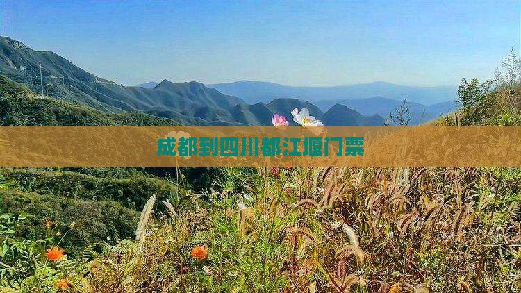 成都到四川都江堰门票