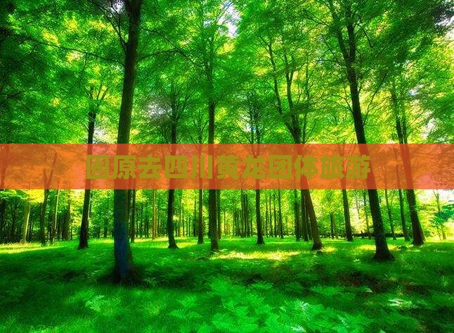 固原去四川黄龙团体旅游