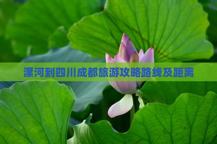 漯河到四川成都旅游