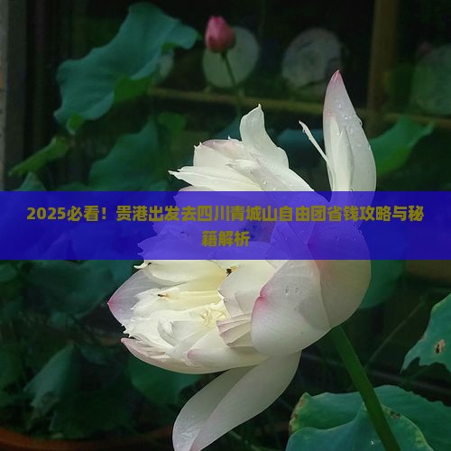 贵港去四川青城山自由团