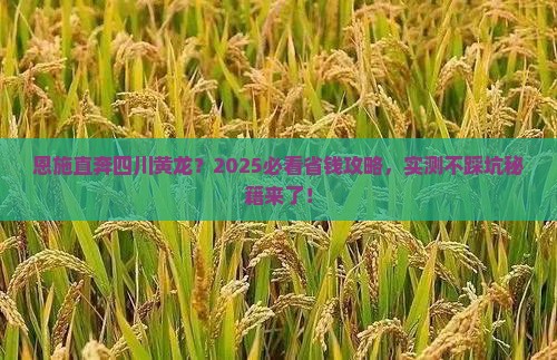 恩施到四川黄龙自由团