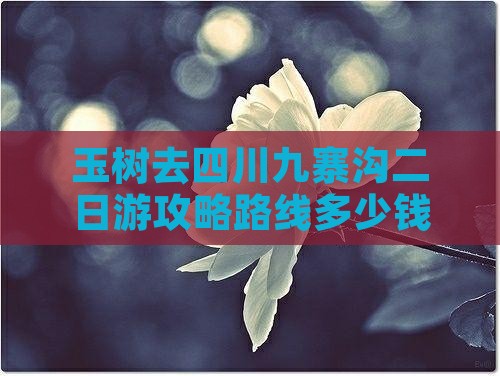 玉树去四川九寨沟二日游
