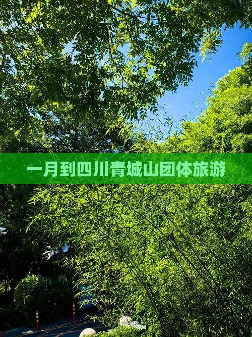 一月到四川青城山团体旅游