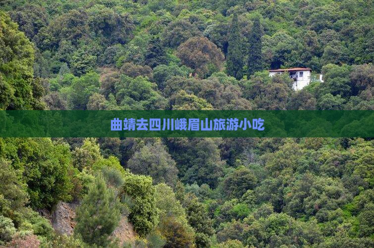 曲靖去四川峨眉山旅游小吃
