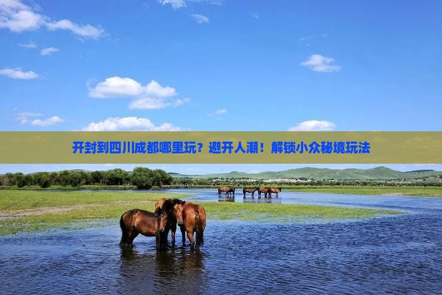 开封到四川成都哪里玩