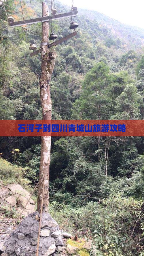 石河子到四川青城山自由行