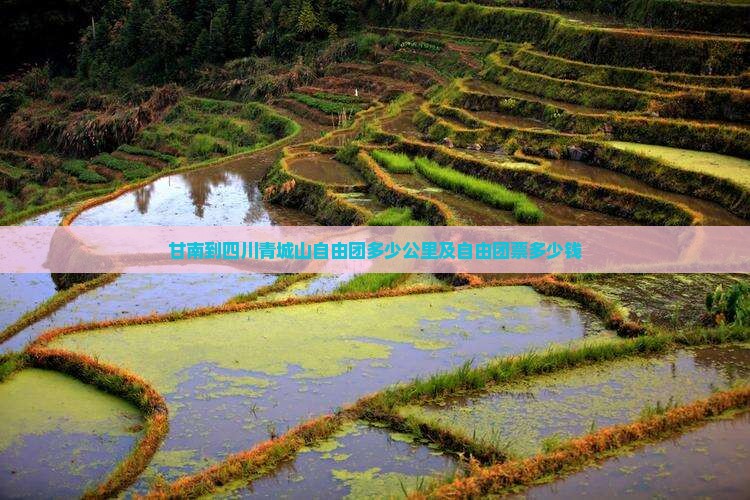 甘南到四川青城山自由团