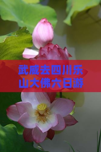 武威去四川乐山大佛六日游