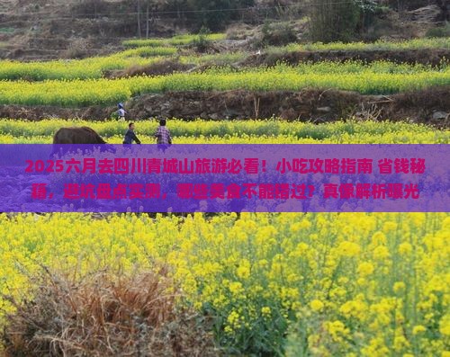六月去四川青城山旅游小吃