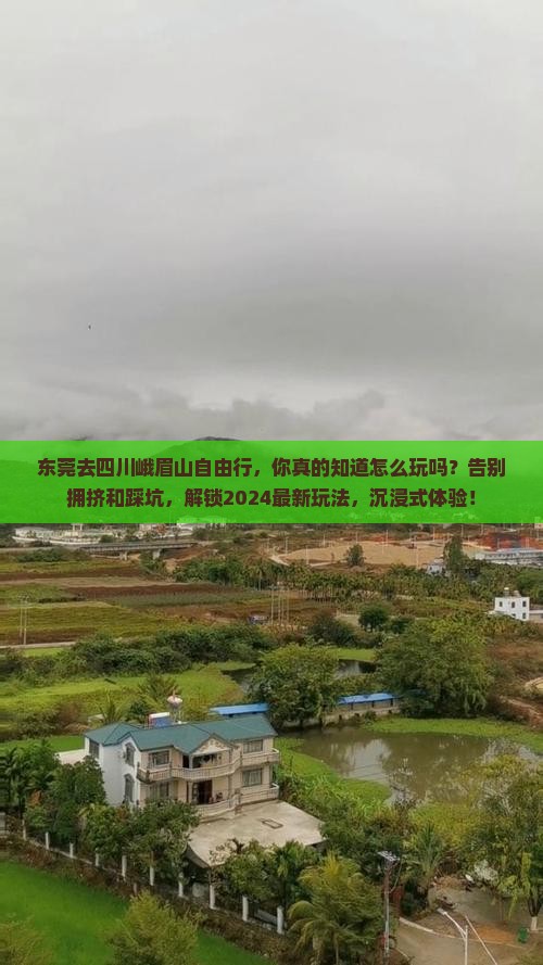 东莞去四川峨眉山自由行