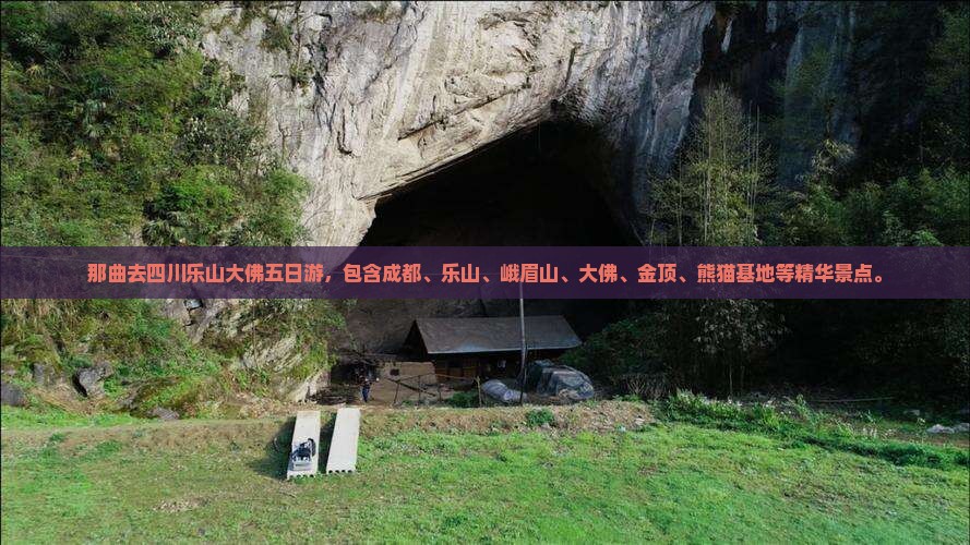 那曲去四川乐山大佛五日游