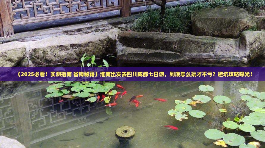 淮南去四川成都七日游 淮南去四川成都七日游